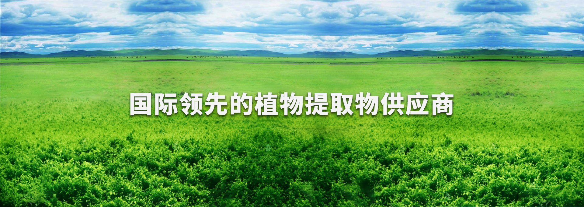 彩运网(中国)有限公司-官方网站