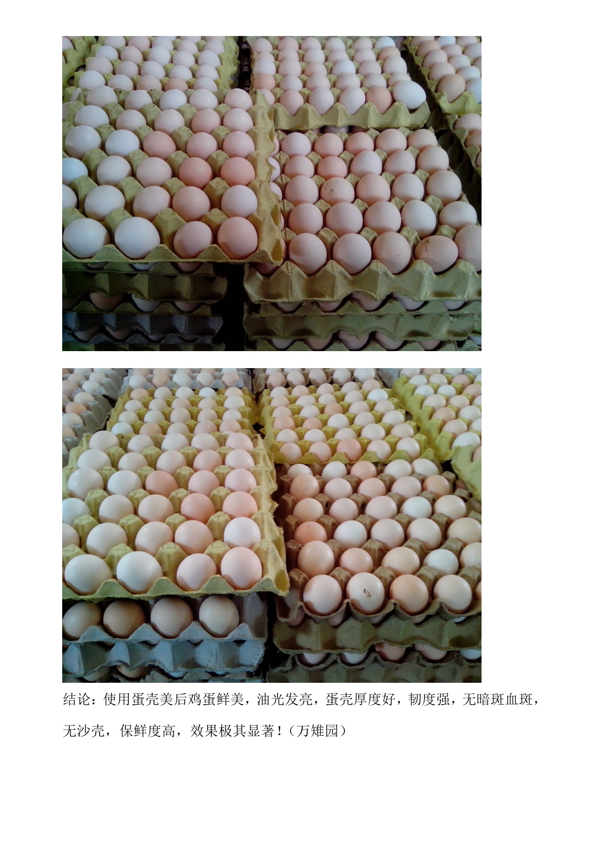 彩运网(中国)有限公司-官方网站