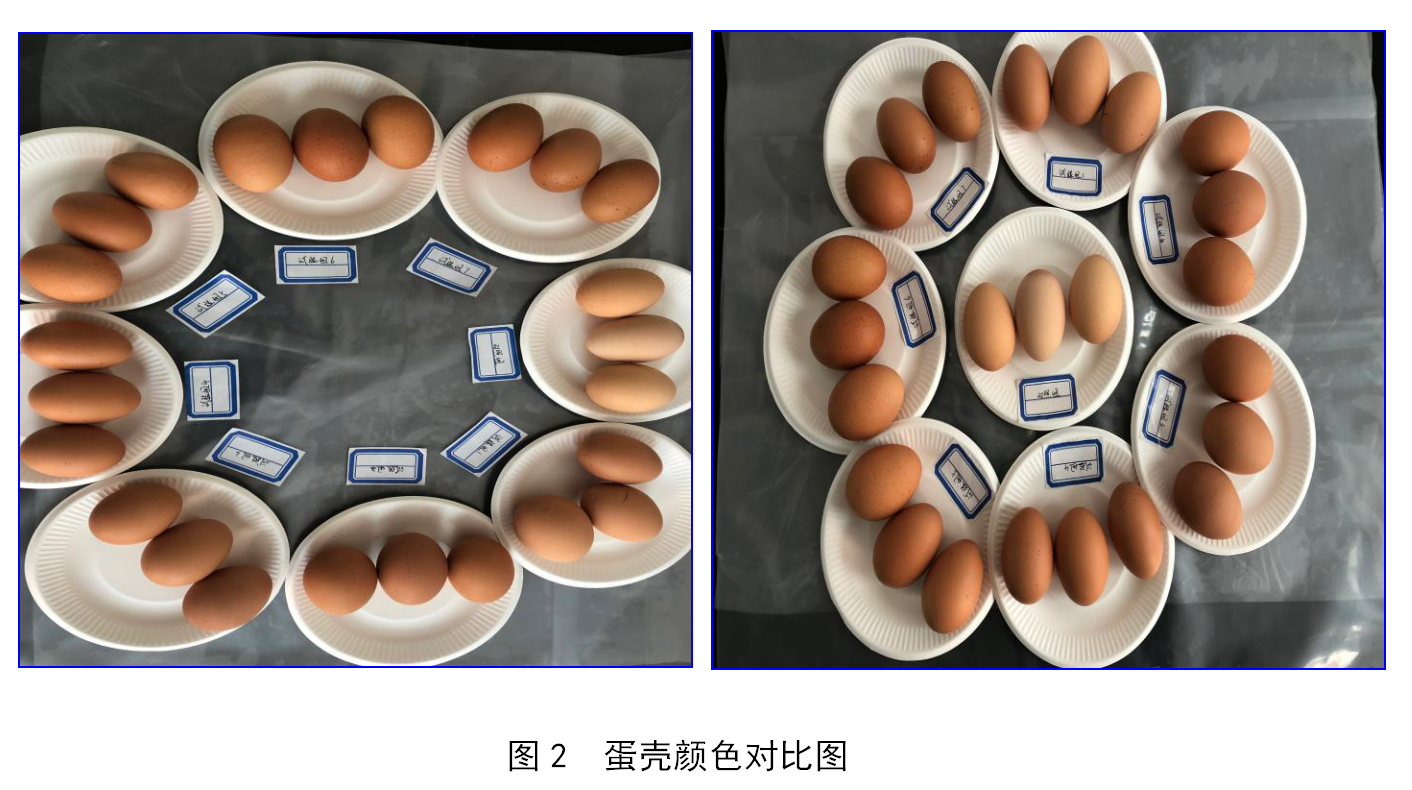 彩运网(中国)有限公司-官方网站