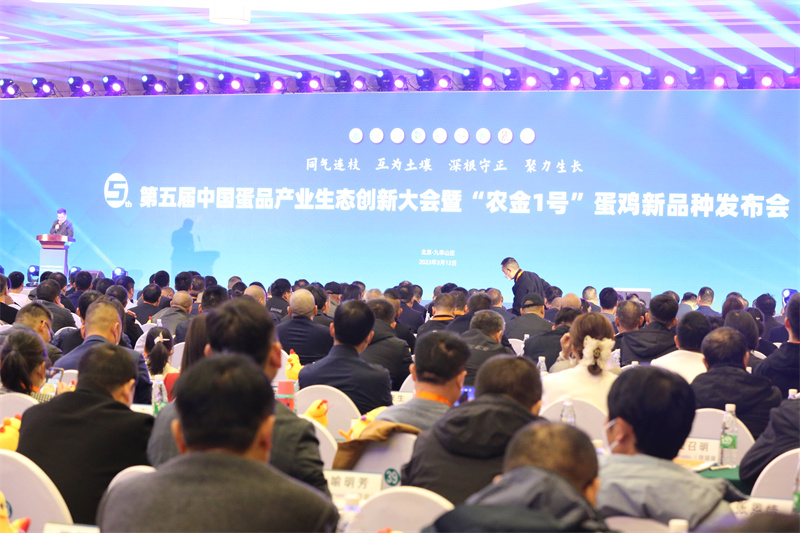 彩运网(中国)有限公司-官方网站
